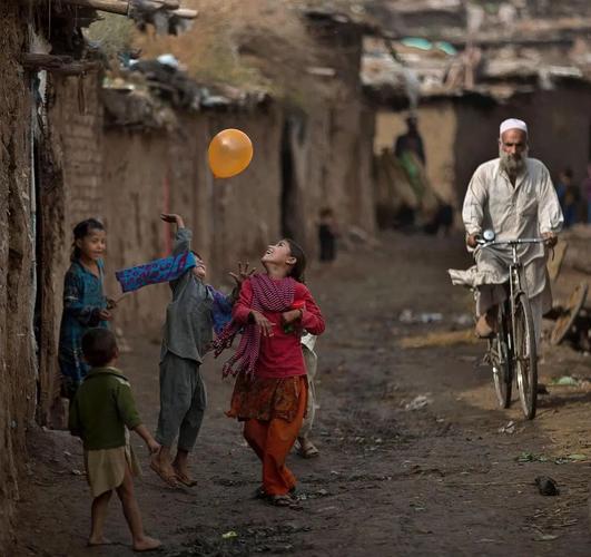 普利策奖和科普图书奖得主雷德·戴蒙德的合集