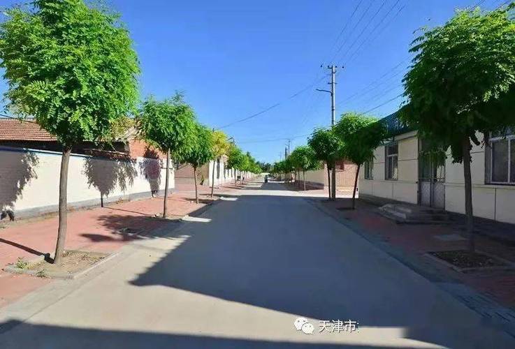 《5000年最有计谋:甄武编著》文字版PDF