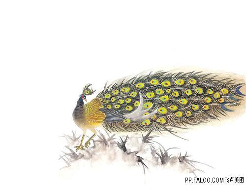 花草、鱼、鸟和虫的图册