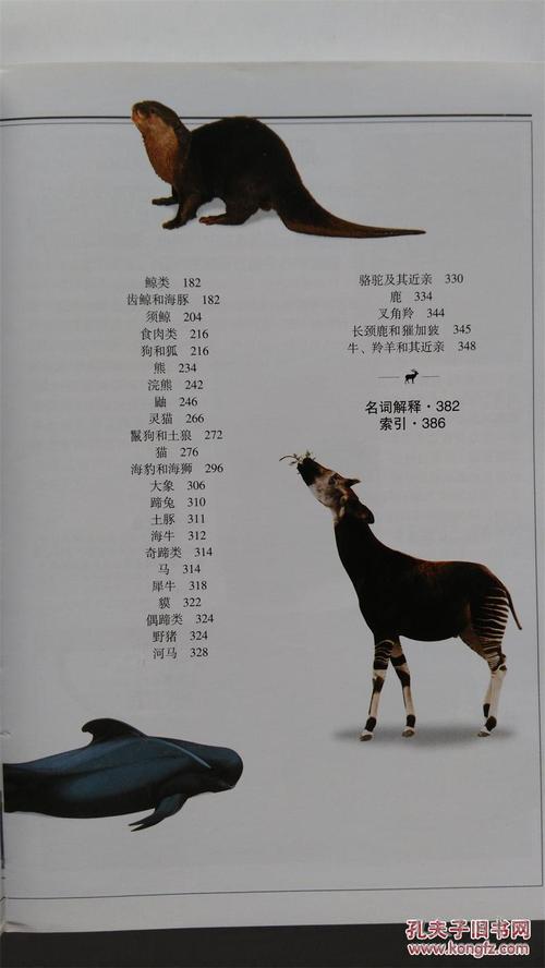 自然珍藏图鉴丛书