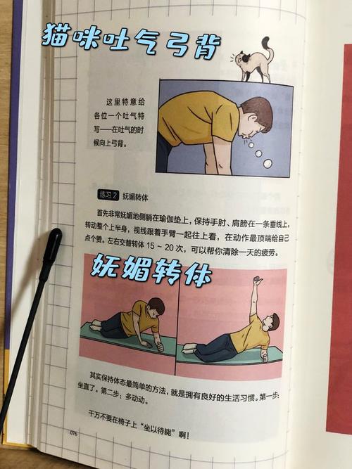 丁香医生的人体调查组电子书