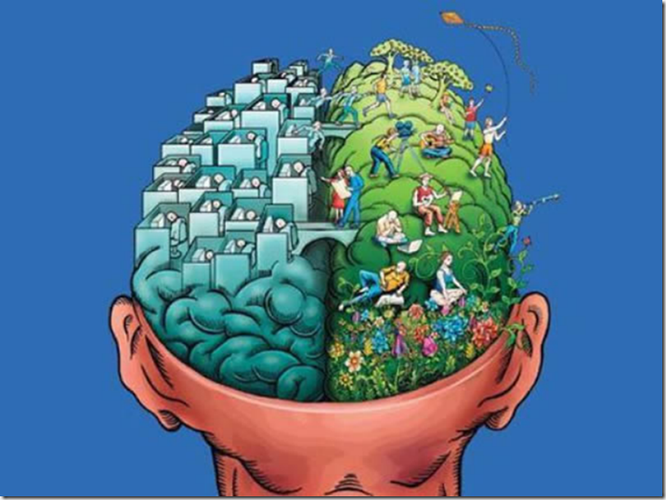 科学美国人1993-2020PDF