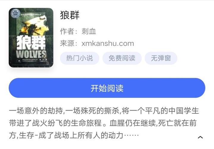 狼群：经典军事小说（有声版）