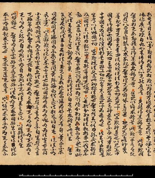 国家馆藏敦煌遗书169册