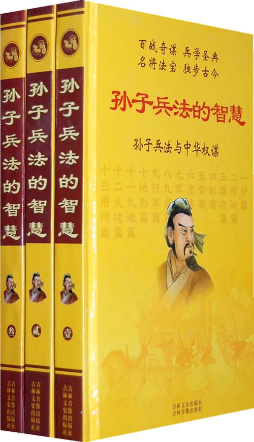 跟我玩孙子兵法和三十六计的肖侃风扫描版PDF