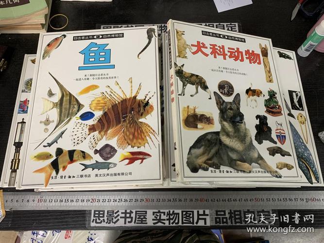 走进博物馆套装12册