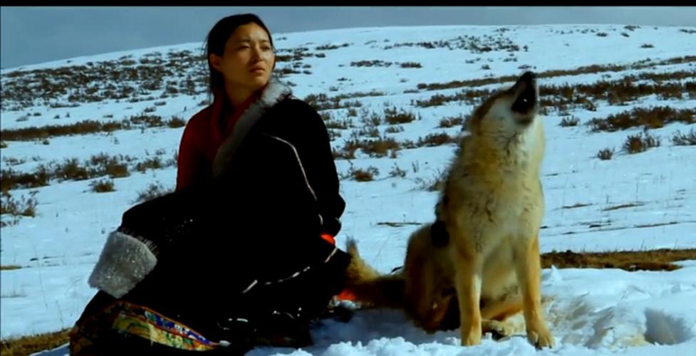 重返狼群两部全