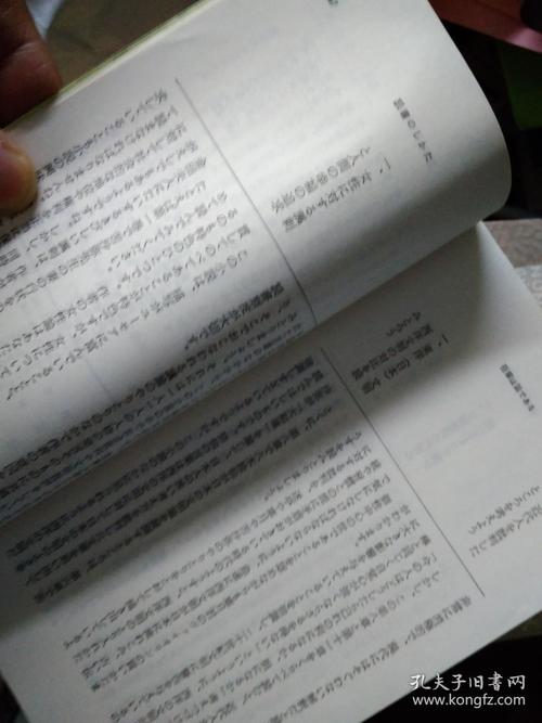 柄谷行人文集套装