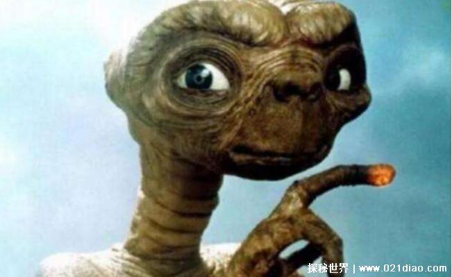 千年回望神秘探索:外星人之谜系列套装14册全精校版