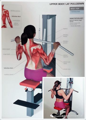 美国翻译版全系列体能训练