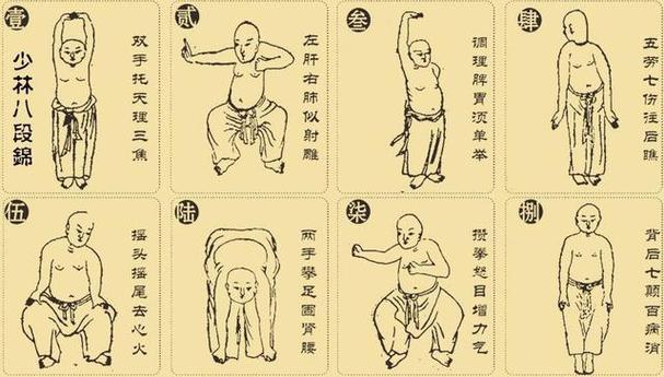 中华健身术合集：中华健身术合集电子书、视频、图解易筋经：易筋经电子书、视频、图解八段锦：八段锦电子书、视频、图解六字诀：六字诀电子书、视频、图解五禽戏：五禽戏电子书、视频、图解太极拳：太极拳电子书、视频、图解咏春拳：咏春拳电子书、视频、图解形意拳：形意拳电子书、视频、图解八卦掌：八卦掌电子书、视频、图解金刚功：金刚功电子书、视频、图解