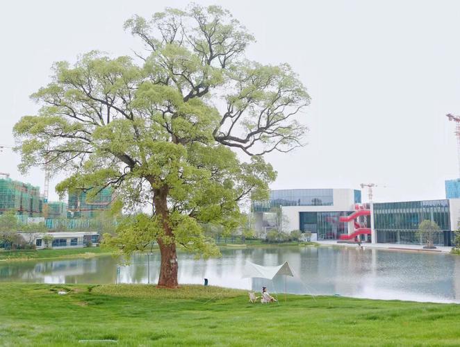 禾林小说系列EroticaIII-Part112本稀缺读物