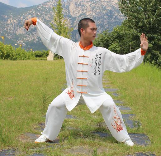 太极拳实战秘法