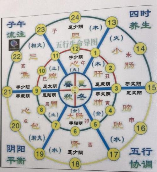 黄帝内经：探索五脏运行奥妙，脏腑养生智慧