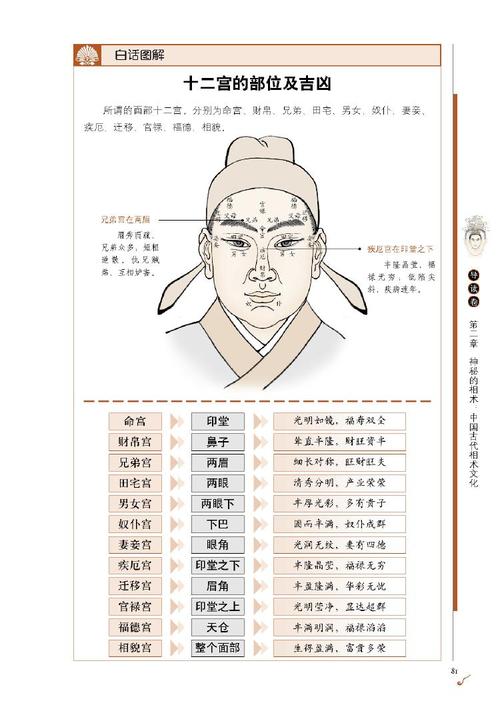 图解麻衣神相:前代命相学书籍的精华