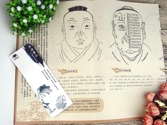 图解麻衣神相:前代命相学书籍的精华