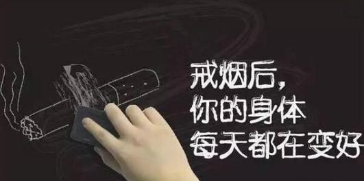 《老烟枪》-一本令人惊讶的戒烟指南