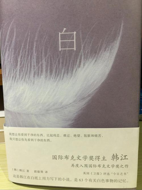 大鱼读品韩国文学套装3册