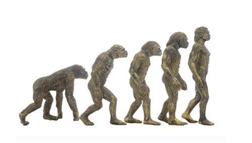 揭开社会学大师的思想精华:神秘课堂的有趣图书