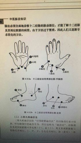 新编中医诊法图谱