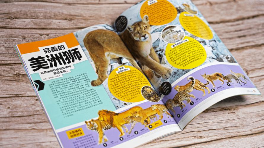 BBC自然探索套装7册