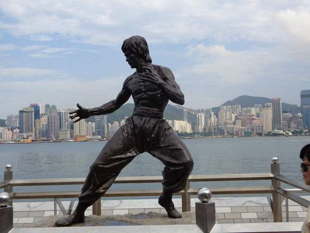 一代功夫之王:毕生武学精要