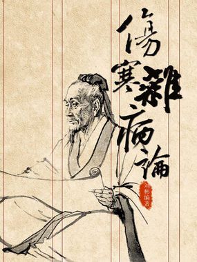 伤寒杂病论：珍藏版中华医学奇书