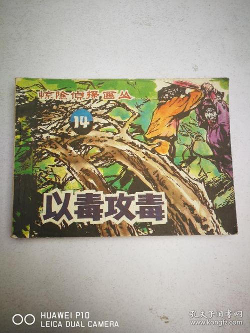 雾岛奇案:女刑侦侦破连环画案