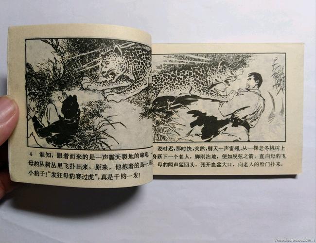 传奇武侠连环画:莲花掌的故事