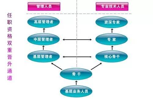 腾讯公司员工职业发展规划书