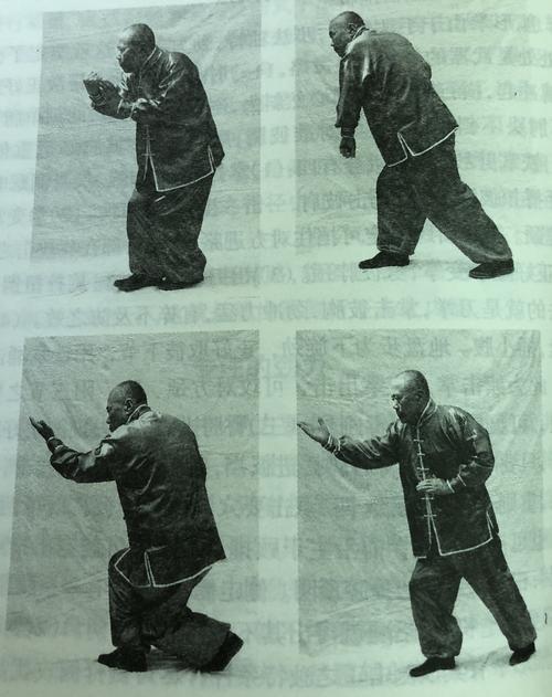 形意拳十二形精典套路分享