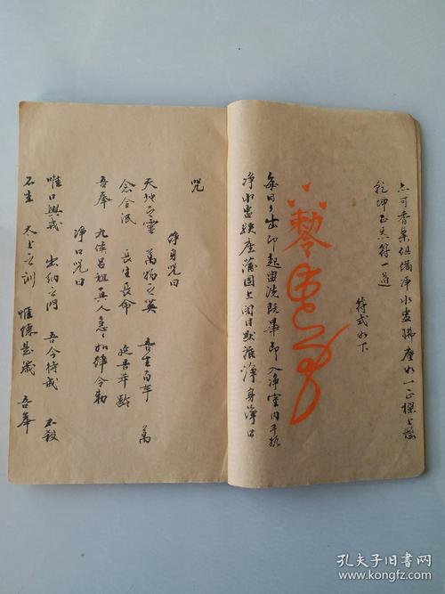 武当纯阳拳炼养全书