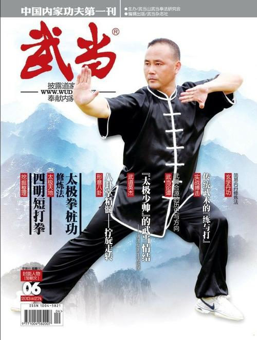 中国通背拳术分享