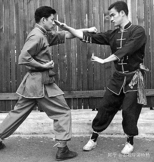 图解咏春拳：李小龙的拳击艺术