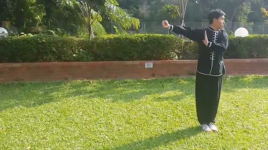 精武潭腿：武术技巧分享