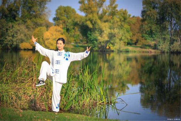 太极正宗的中华武术分享