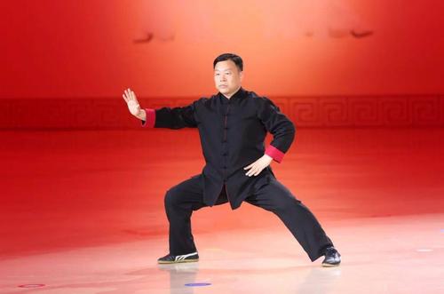 中华武术技击传真：太极推手分享