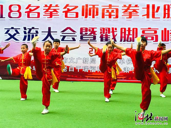 中华武术吴斌楼戳脚翻子全书