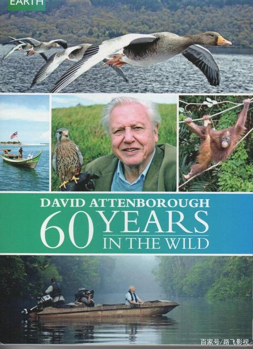 BBC自然探索系列