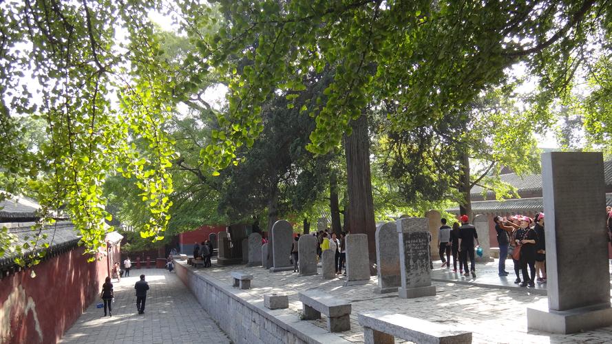 少林寺解密:千年之迷公布的点穴da+fa