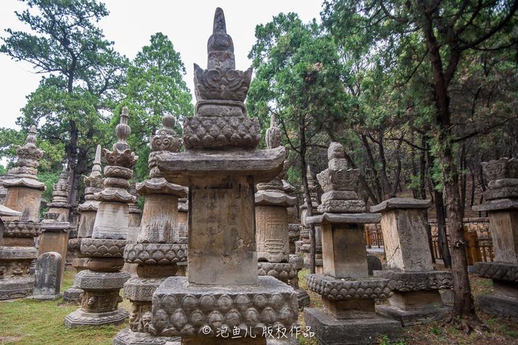 少林寺解密:千年之迷公布的点穴da+fa