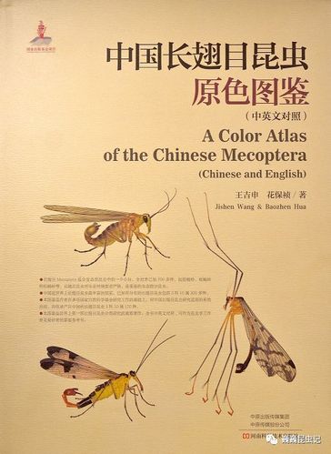 中国昆虫生态大图鉴