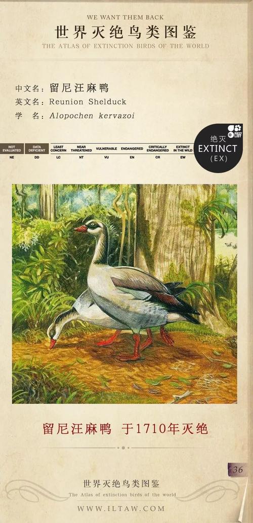 365天动物趣事世界鸟类图鉴