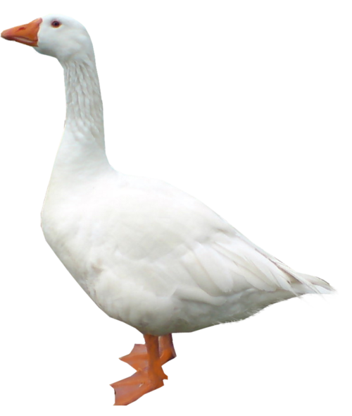 最大书库,3T存储容量,3小时转存