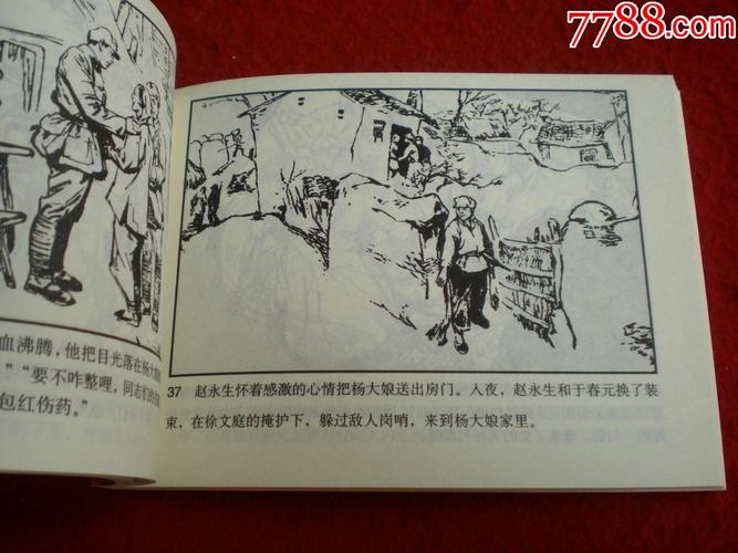 桐柏英雄连环画全系列分享