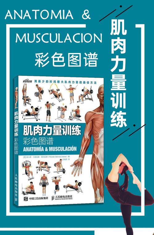 运动健身书籍合集