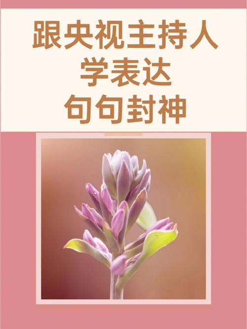 中外广告妙语金句