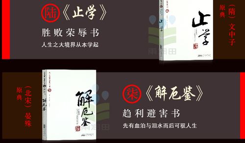 天下无谋之秘卷八书