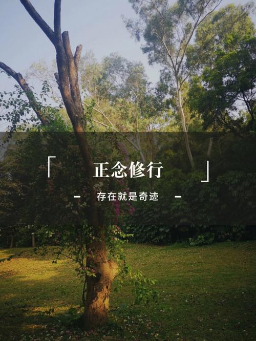 一行禅师文集:禅师的智慧言辞正念的奇迹:探索正念的神奇力量故道白云:白云禅师的故事与教诲佛陀之心:感悟佛陀的智慧与慈悲之心