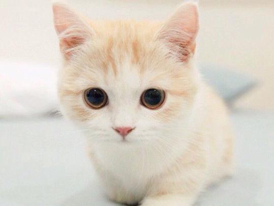 自己收藏的商品